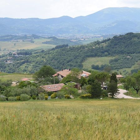 Agriturismo Terra Selvatica Valfabbrica Экстерьер фото