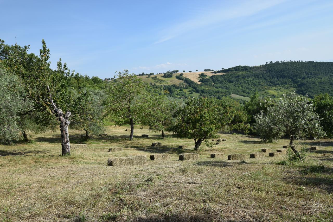 Agriturismo Terra Selvatica Valfabbrica Экстерьер фото